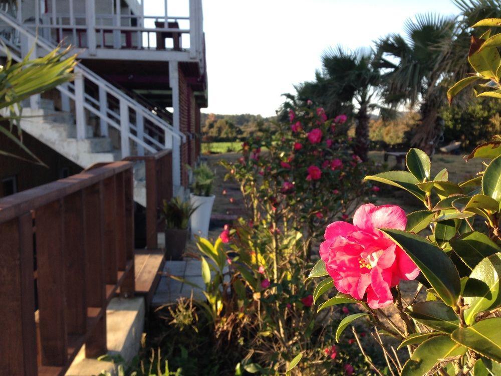 Clover B&B Seogwipo Exterior photo